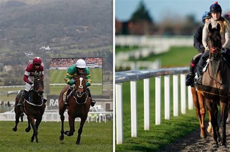 best bet at cheltenham today.